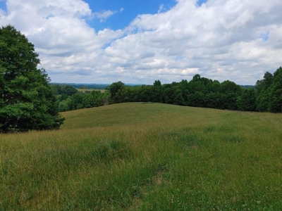 Farmland for Sale in Floyd VA - image 24