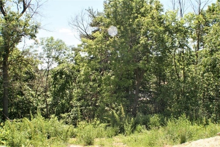 Home for sale near Kickapoo River Ontario WI - image 34