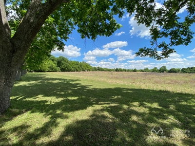 Martin Allendale Co. Small Farm Estate - image 46