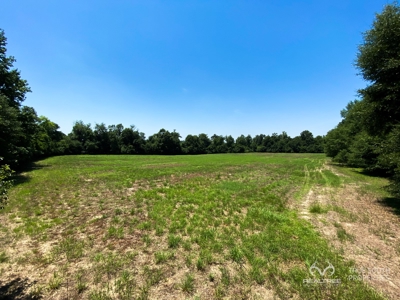 Martin Allendale Co. Small Farm Estate - image 6