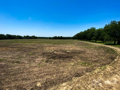 Martin Allendale Co. Small Farm Estate - image 19