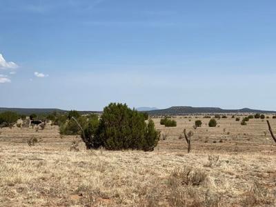 McIntosh, New Mexico Off-Grid Home Now For Sale Torrance Co - image 26