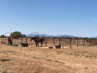 McIntosh, New Mexico Off-Grid Home Now For Sale Torrance Co - image 24