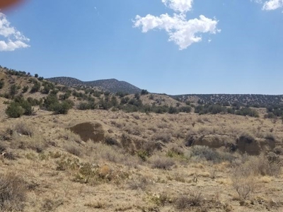 40± Off Grid Acres For Sale in Santa Fe County, New Mexico - image 2