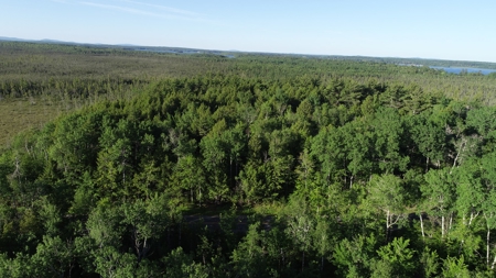 Maine Investment Land for Sale - image 4