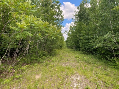 Maine Investment Land for Sale - image 15