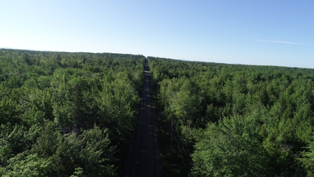Maine Investment Land for Sale - image 8