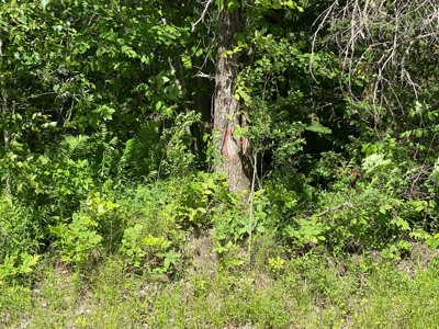 Maine Investment Land for Sale - image 32
