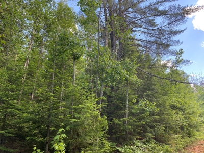 Maine Investment Land for Sale - image 27