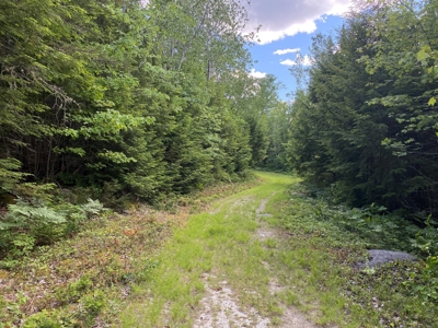 Maine Investment Land for Sale - image 29