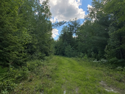 Maine Investment Land for Sale - image 26