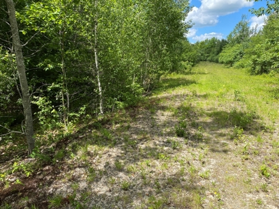 Maine Investment Land for Sale - image 12