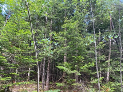 Maine Investment Land for Sale - image 28