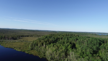 Maine Investment Land for Sale - image 1