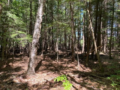 Maine Investment Land for Sale - image 21