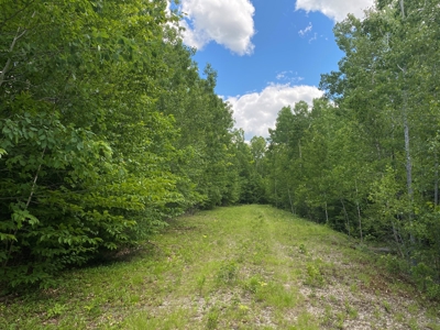 Maine Investment Land for Sale - image 3