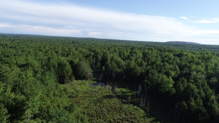 Maine Investment Land for Sale - image 9