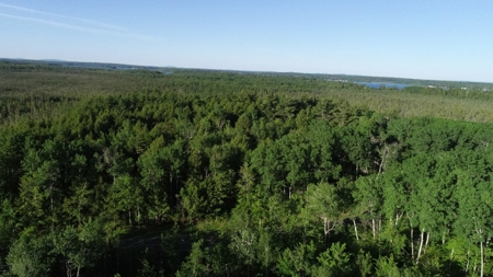Maine Investment Land for Sale - image 5