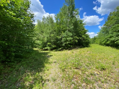 Maine Investment Land for Sale - image 13