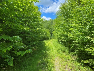 Maine Investment Land for Sale - image 10