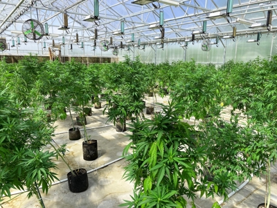 Nebraska hemp grow greenhouses for sale - image 16