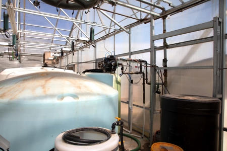 Nebraska hemp grow greenhouses for sale - image 25