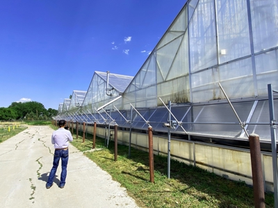 Nebraska hemp grow greenhouses for sale - image 19