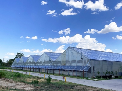 Nebraska hemp grow greenhouses for sale - image 7
