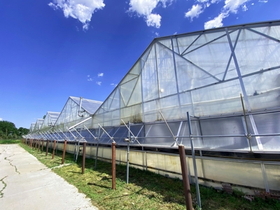 Nebraska hemp grow greenhouses for sale - image 6