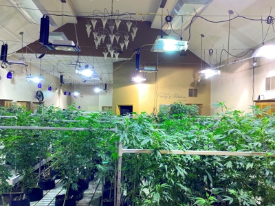 Nebraska hemp grow greenhouses for sale - image 12