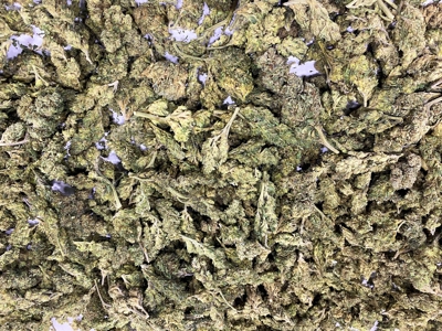 Nebraska hemp grow greenhouses for sale - image 22