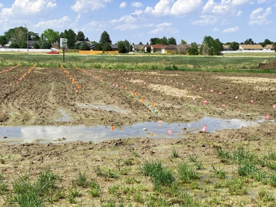 Nebraska hemp grow greenhouses for sale - image 11
