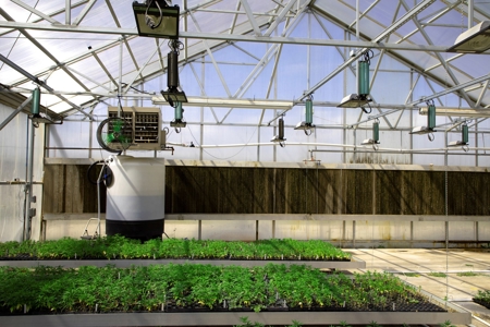Nebraska hemp grow greenhouses for sale - image 23