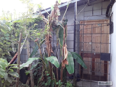 House For Sale In Panama City - image 4