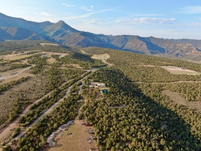 Colorado Custom Log Home with Shop on 40 acres For Sale - image 8