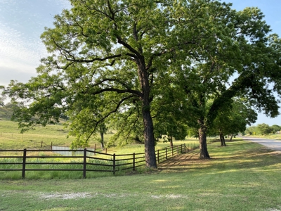 Hunting Land for Sale in Texas - 528 Acres in Coryell County - image 5