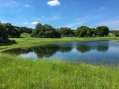 Hunting Land for Sale in Texas - 528 Acres in Coryell County - image 12