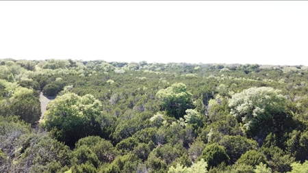 Hunting Land for Sale in Texas - 528 Acres in Coryell County - image 50