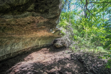 Hunting Land for Sale in Texas - 528 Acres in Coryell County - image 16