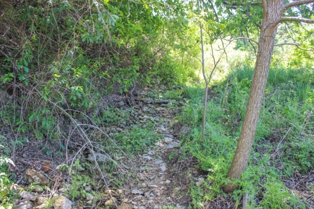Hunting Land for Sale in Texas - 528 Acres in Coryell County - image 35