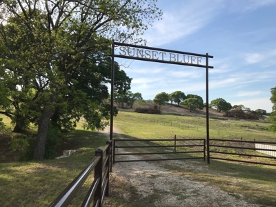 Hunting Land for Sale in Texas - 528 Acres in Coryell County - image 4