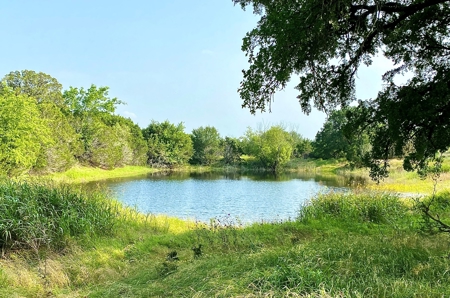 Hunting Land for Sale in Texas - 528 Acres in Coryell County - image 34