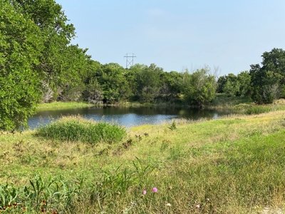 Hunting Land for Sale in Texas - 528 Acres in Coryell County - image 26