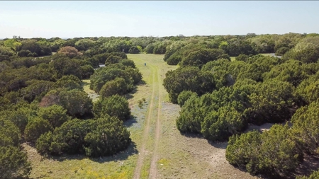 Hunting Land for Sale in Texas - 528 Acres in Coryell County - image 9
