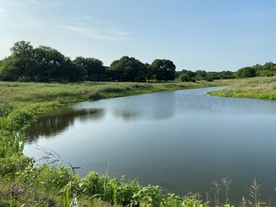 Hunting Land for Sale in Texas - 528 Acres in Coryell County - image 3