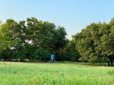Hunting Land for Sale in Texas - 528 Acres in Coryell County - image 43