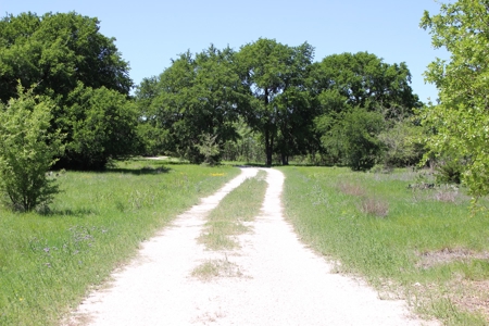 Hunting Land for Sale in Texas - 528 Acres in Coryell County - image 39