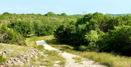 Hunting Land for Sale in Texas - 528 Acres in Coryell County - image 47