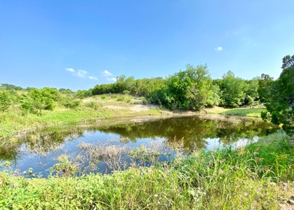 Hunting Land for Sale in Texas - 528 Acres in Coryell County - image 38