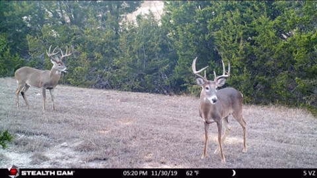 Hunting Land for Sale in Texas - 528 Acres in Coryell County - image 1